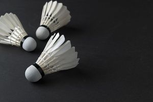 ลูกขนไก่แบบมืออาชีพออกแบบโลโก้ได้ตามที่ต้องการ - Product Image 5