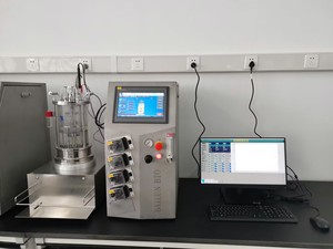 Biorreactor de laboratorio Bailun 5L, biorreactor de vidrio con agitación magnética utilizado para sustrato para fermentación en el momento de la fermentación - Product Image 4