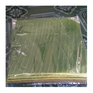 Hojas de plátano congeladas para exportación internacional-Hoja de plátano fresca 100% Hojas de envoltura natural para la industria del envasado de alimentos - Product Image 6