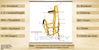 Ensemble de bridon et de rênes TECHIFY en nylon jaune pour cheval, avec peitorale et rênes réglables, équipement d'endurance