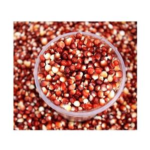 Maíz Rojo Orgánico Natural de Calidad de Exportación Estándar a Precio de Mayoreo - Product Image 2