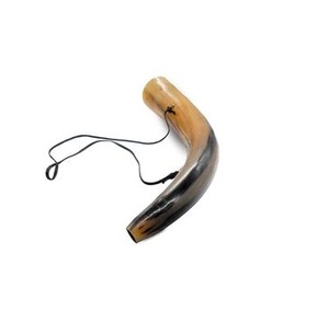 <b>Amazing</b> Natural Horn Viking Blowing Horn with Sounding For Announcement Party Prayer war Trumpet With Natural Polished - Product Image 3