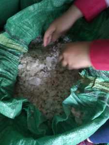 เกล็ดปลาแห้งสะอาดสำหรับอุตสาหกรรมเครื่องสำอางแบบเวียดนามขายส่งจำนวนมาก - Product Image 6