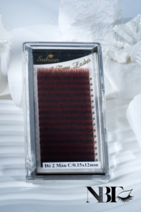 Prix usine coréen PBT 0.07mm Extensions de cils L M L + Curl pour LashPlus Volume russe cachemire pour améliorer votre oeil - Product Image 6