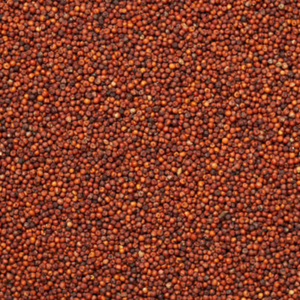 Farine de millet biologique-Grains de millet ragi sans gluten OEM-Farine de millet rouge à haute teneur en protéines de marque privée-Qualité export - Product Image 3