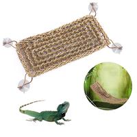 Meilleurs accessoires tapis tissés avec un style naturel et la texture de terrarium avec de nombreuses tailles