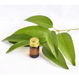 Huile essentielle de feuille de cannelle pure certifiée biologique de haute qualité - Product Image 3