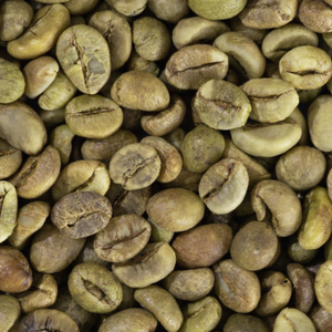 VILACONIC Vietnam ROBUSTA GREEN DE CAFÉ-Calidad de exportación de procesamiento de granos de café Robusta-Whatsapp:+ 84 388 385 347 Alicia - Product Image 2