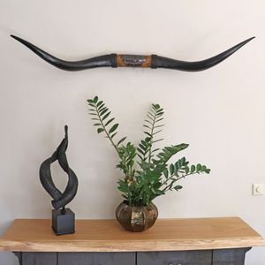 Decoración del hogar de cuerno largo para el diseño del hogar rural - Product Image 5