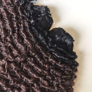 Extensions de Cheveux Humains Vierges Vietnamiens Bruts Vente en Gros Birmans Bouclés Double Trame Machine Expédition Rapide du Vendeur - Product Image 1