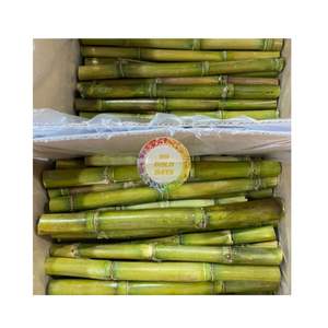 Caña de azúcar congelada de alta calidad al mejor precio de Vietnam para hacer jugo, precio barato de Vietnam, jugo de caña de azúcar frío congelado - Product Image 6