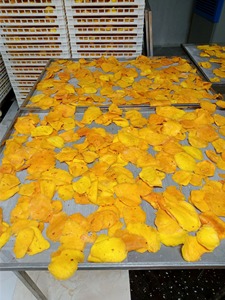 Une touche sucrée et épicée: Délicieuse mangue séchée douce avec sel de piment - Product Image 3
