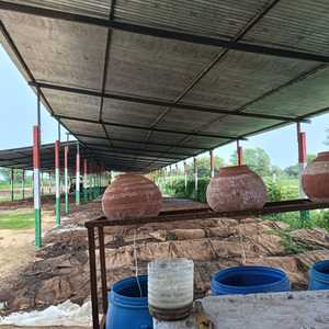 Fertilizante Orgánico de Compost Verm de la India, 1 kg - Alta Calidad, Calidad de Exportación, Excelente Precio - Product Image 2