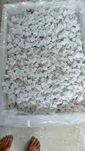 Almidón de Arrowroot Premium de Vietnam, Natural y Orgánico, Opción de Exportación a Granel - Product Image 6