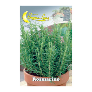 Semi Orto Rosmarino - Product Image 1