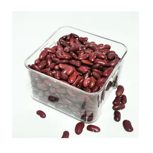 赤インゲン豆光斑点高品質赤インゲン豆を輸出
