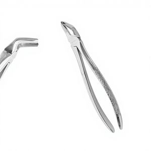 Fórceps de extracción Fig 8 Premolares inferiores Patrón de inglés Premium Fórceps de extracción dental Juego dental Instrumentos quirúrgicos - Product Image 1