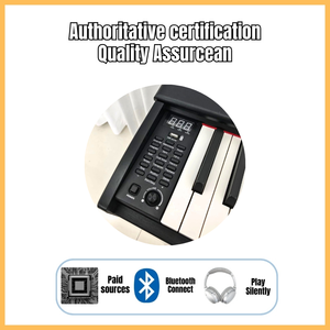 Top vente professionnel droit numérique chine Midi conception gratuite Logo clavier pondération Piano pour Studio Piano électronique - Product Image 2