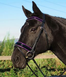 Brida anatómica Freeway Stellar HOT PINK FUCSIA Crystal Piping BLING Patente - Product Image 2