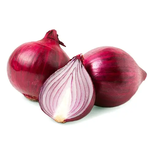 Organic Fresh Red Onion Vegetable Bulk Purchase Indian Top Grade Fresh Red low price