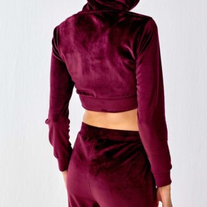 Conjunto de 2 Piezas de Ropa de Otoño e Invierno para Mujer, Top Corto de Terciopelo de Algodón, Sudadera con Capucha, Chándal de Terciopelo, Conjunto Deportivo de Terciopelo para Mujer - Product Image 4