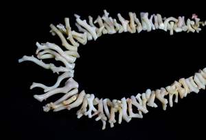 Perles en forme de bâton lisse de corail japonais naturel Perles de pierres précieuses de corail blanc naturel - Product Image 3