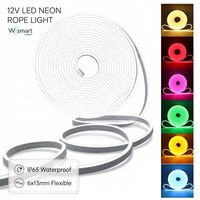 Ruban LED néon DC12V 5M 6x13mm 120LEDs/m IP65 étanche, flexible et dimmable pour éclairage extérieur de signalisation