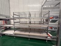 Nouveau système de cages avicoles de type H, équipement d'alimentation automatique en acier galvanisé, facile à utiliser pour la production commerciale d'œufs.