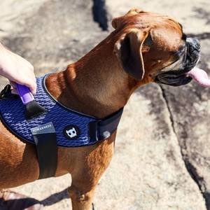 Wicked Flyharness Handle Simple Style Solid Breathable Cotton Polyester <b>Button</b> Lace for Outdoor Walking-Available XS S M L XL - Product Image 2