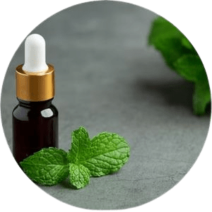 Hydrolat de menthe pur 100% Hydrolat de menthe en gros Hydrolat de menthe pur naturel - Product Image 3