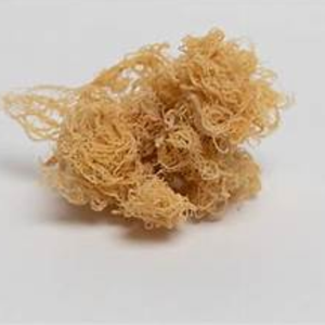 ทะเลมอสจากเวียดนามผลิตจากทะเลแห้งผลิตจากธรรมชาติ - Product Image 6