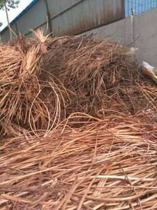 Chất Lượng Cao Dây Đồng Phế Liệu/Dây Đồng Phế Liệu 99.9% Tinh Khiết Mill-Berry Đồng Phế Liệu - Product Image 3