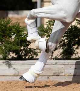 Bottes de brossage pour chevaux personnalisées, conception protectrice absorbant les chocs, soutien des tendons du jarret, équipement équestre, bottes de brossage - Product Image 6