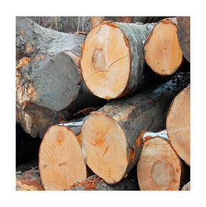 Bûches de hêtre de qualité supérieure, longueur primaire de 3 mètres, avec options de 2,5 et 4 mètres pour la production de placages et de bois d'œuvre, vente en gros disponible - Product Image 2