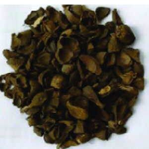 Mejor precio y entrega rápida de cáscara de almendra de palma seca para residuos agrícolas Pellet de madera de coco al por mayor - Product Image 3