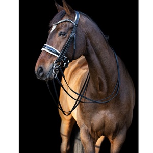 Brida snaffle - Product Image 3