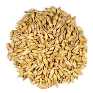 Meilleur aliment pour le grain d'orge/le grain de Malt d'orge/l'orge pelée prêt - Product Image 3