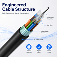 Cable Óptico Blindado OEM GYTA GYTS para Exteriores, Monomodo, Tubo Suelto, Línea de Fibra de 4, 12, 24, 48, 144 Núcleos para Proyectos de Telecomunicaciones