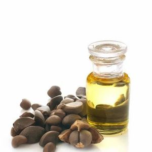 น้ำมันบำรุงผิวจากเมล็ดดอกคามีเลีย - Product Image 1