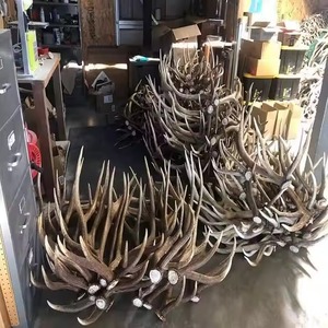 ผงสารสกัดเขากวางกำมะหยี่จากเรซินธรรมชาติ ผลิตจากวัว สำหรับอาหารเพื่อสุขภาพ อายุการเก็บรักษา 3 ปี ขายตรง - Product Image 4