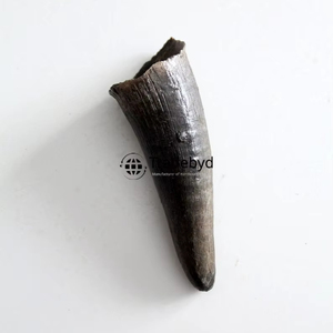 Tradebyd Handmade Horn Crafts Idées de cadeaux naturels écologiques décoratifs de luxe pour la décoration intérieure - Product Image 1