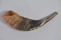 Corne de Shofar Naturelle Casher pour la Récitation Religieuse, Corne de Bélier Polie, Décoration d'Intérieur, Art Mosaïque, Écologique, Portable
