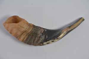 Shofar ฮอร์นแกะธรรมชาติแบบเต็มรูปแบบสำหรับตกแต่งบ้านงานฝีมือทำมือฮอร์นแกะ - Product Image 3