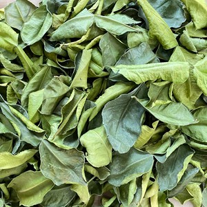 Hojas de limón secas solares saludables naturales a granel, hoja de Lima seca al sol con el precio más barato - Product Image 6
