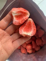 Fresas Liofilizadas Premium a Granel, Refrigerio de Fruta Crujiente Natural, Envasado al Vacío, Venta al por Mayor OEM - Sra. Tarina