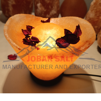 Lampe de sel de l'Himalaya sculptée de qualité supérieure JOBAK, forme bateau, style Feng Shui, base en bois, toucher réel, purificateur d'air, multicolore