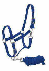 BRAND ZONE Adjustable Horse Halter Customized Size Horse <b>Nylon</b> Head Collar with lead <b>Rope</b> Equestrian Equipment Horse Accessories - Product Image 4