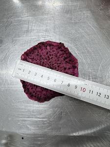 ขนมมังกรผลไม้อบแห้งแบบนุ่มฉลากสะอาดของเวียดนามเพื่อสุขภาพสำหรับผู้ซื้อต่างประเทศ - Product Image 5