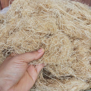 สาหร่าย Gracilaria แห้งสาหร่ายสีทองแบบแห้งผลิตในเวียดนาม - Product Image 4