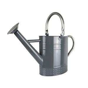 Arrosoir en fer et verre en acier fait à la main nouveau design pour jardinières prix de gros - Product Image 2